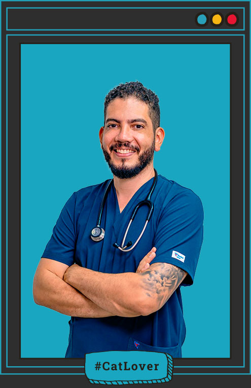 cómo cuidar un gato por primera vez